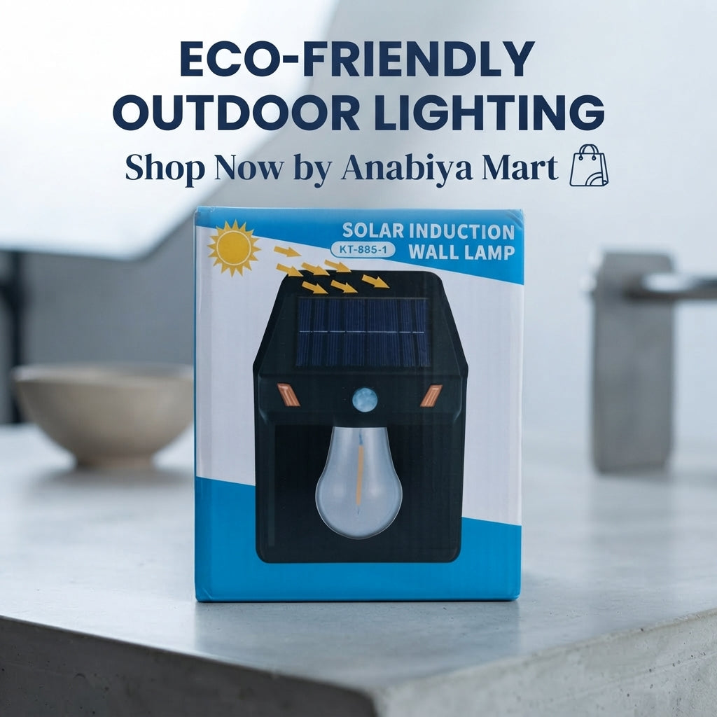 Solar Induction Wall Lamp (KT-885-1)